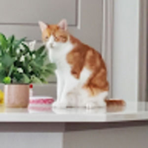 Meet your Posher, Hidelberto